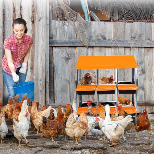 Chicken Nesting Box, 10 Hole 2 Layer Hen Nest Box with Legs, Roll Away Eggs Laying Boxes,Cleanable Pull Out Hen Roosting Boxes