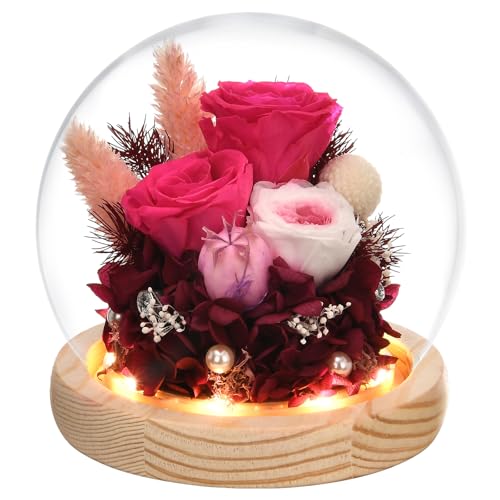 Gifts for Women, Flowers for Delivery Prime, Preserved Real Rose in Glass Dome with LED Light, Gifts Idea for Women Wife Mom Grandma on Anniversary Birthday Mothers Day