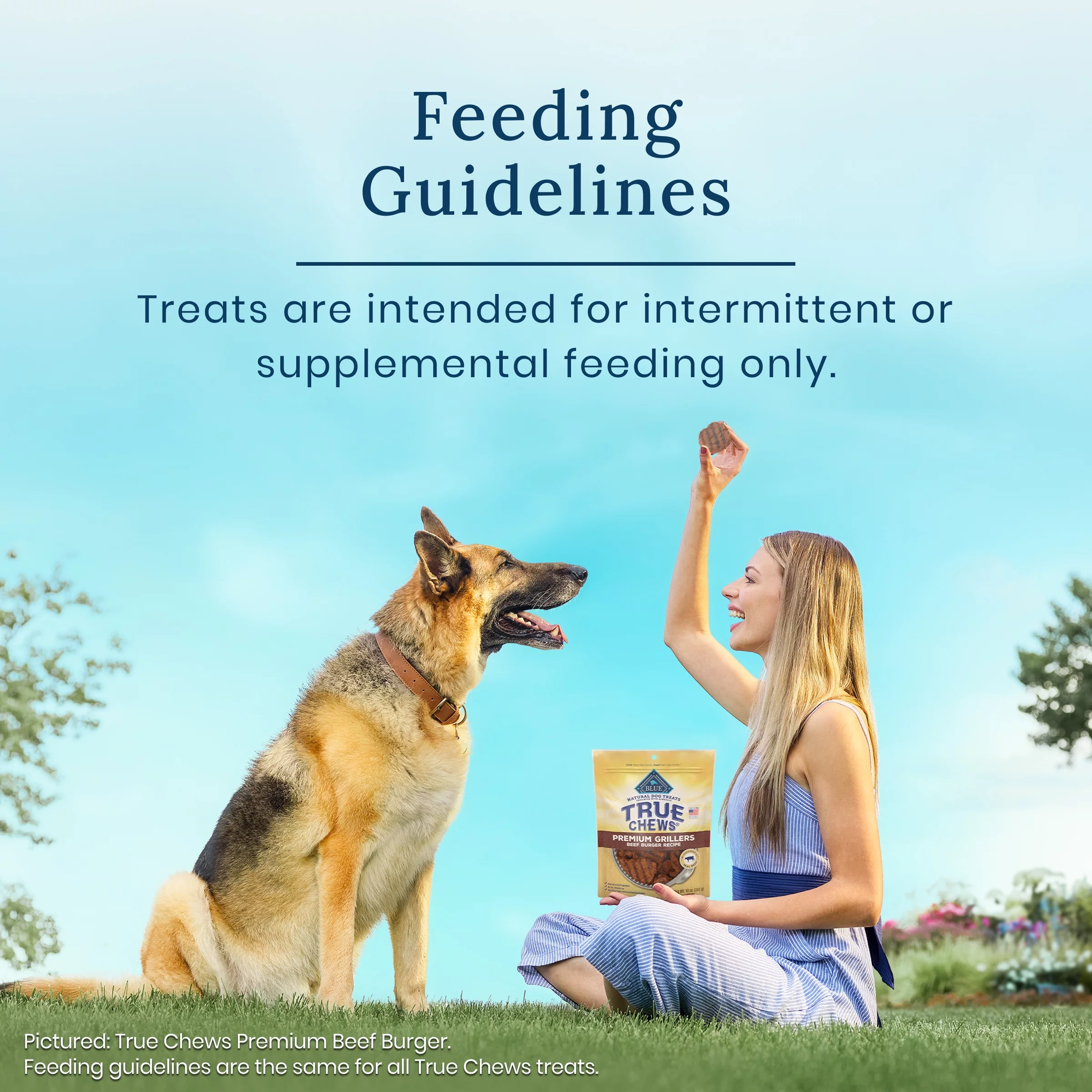 Blue Buffalo True Chews Premium Grillers Natural Dog Treats, Steak 30 oz Bag