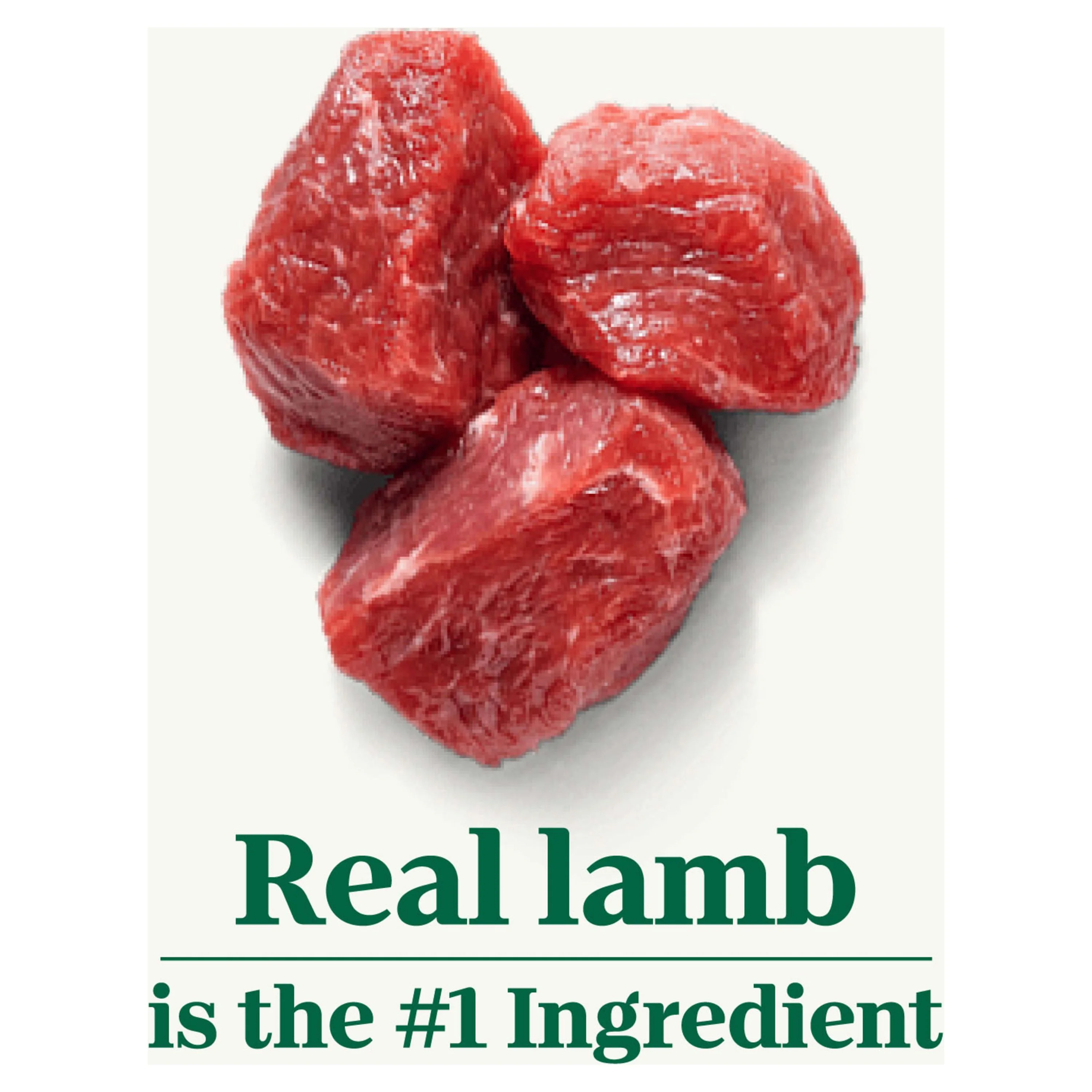 Nutro Natural Choice Lamb and Brown Rice Recipe Dry Dog Food, 30 lb Bag