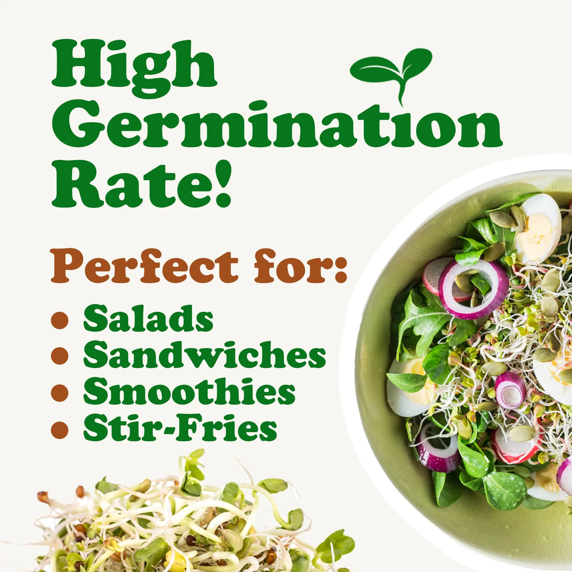 Salad Mix of Sprouting Seeds, 5 Pounds ? Sproutable, Kosher, Raw, Vegan ? by Food to Live