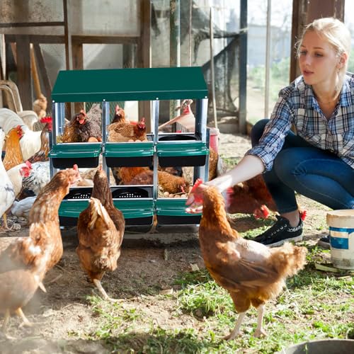 Chicken Nesting Box, 10 Hole 2 Layer Hen Nest Box with Legs, Roll Away Eggs Laying Boxes,Cleanable Pull Out Hen Roosting Boxes