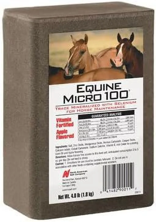 Equine Brick for Horses, 4-Lb.