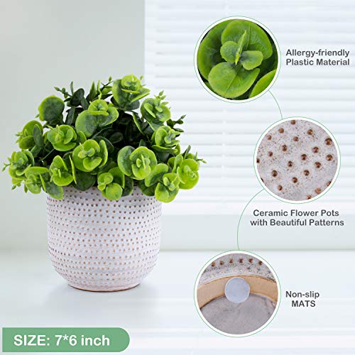 2 Pack Artificial Plants Small Cute Succulents in Ceramic Planters Fake Greenery Potted for Living Room Office Desk Decor,Bathroom,Bedroom,Shelves Decor