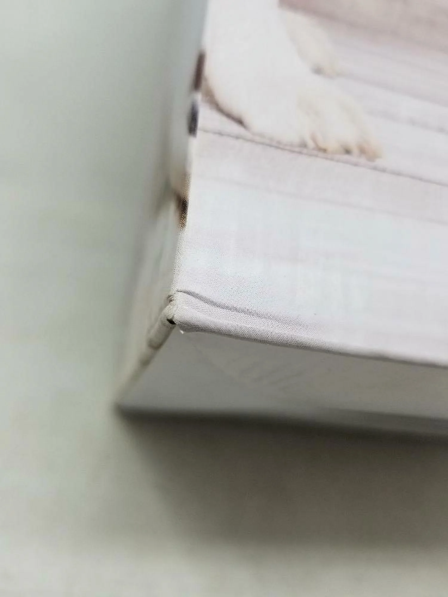 Chowtime Wi-Fi Automatic Pet Feeder