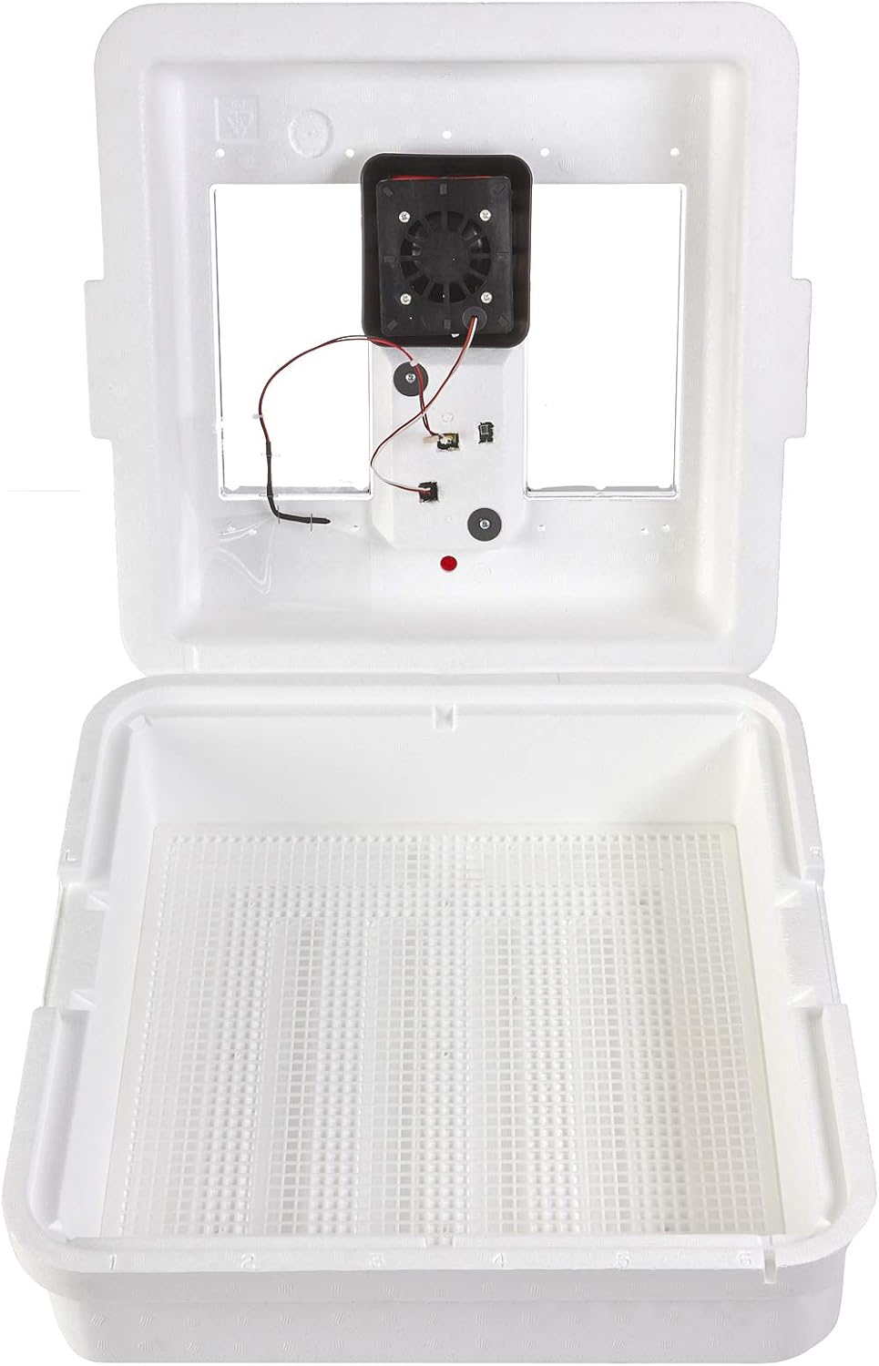 Little Giant® Digital Still Air Incubator | 41 Eggs | Egg Incubator with Temperature and Humidity Control | Chick Incubator
