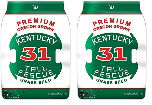 X-Seed Oregon Grown Kentucky 31 Tall Fescue Grass Seed for Sun and Shade Drought-Resistant Lawn for High Traffic, Forage & Turf Grass – Designed for Extreme Durability & Retaining Moisture – 5 lb Bag