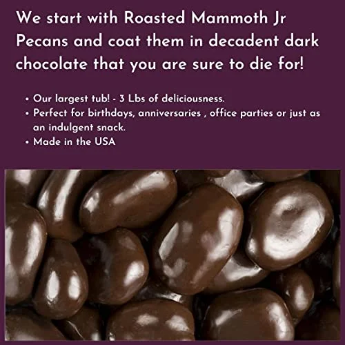Dark Chocolate Covered Pecans - 3 Lb Tub