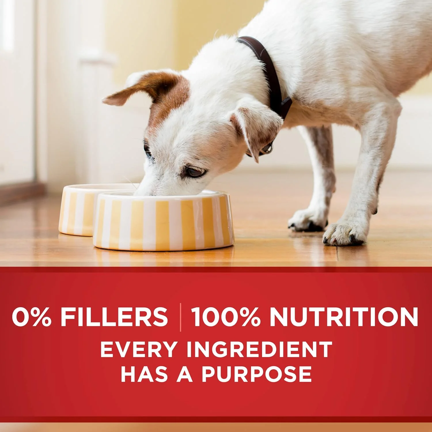 Purina ONE Tender Cuts in Gravy Beef and Barley Entree in Wet Dog Food Gravy - (12) 13 oz. Cans