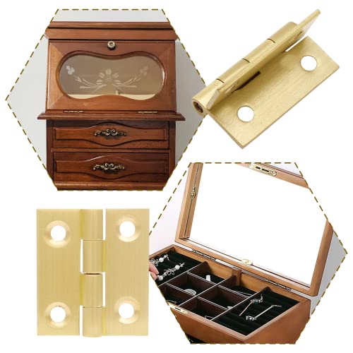 Suiwotin Brass Hinges