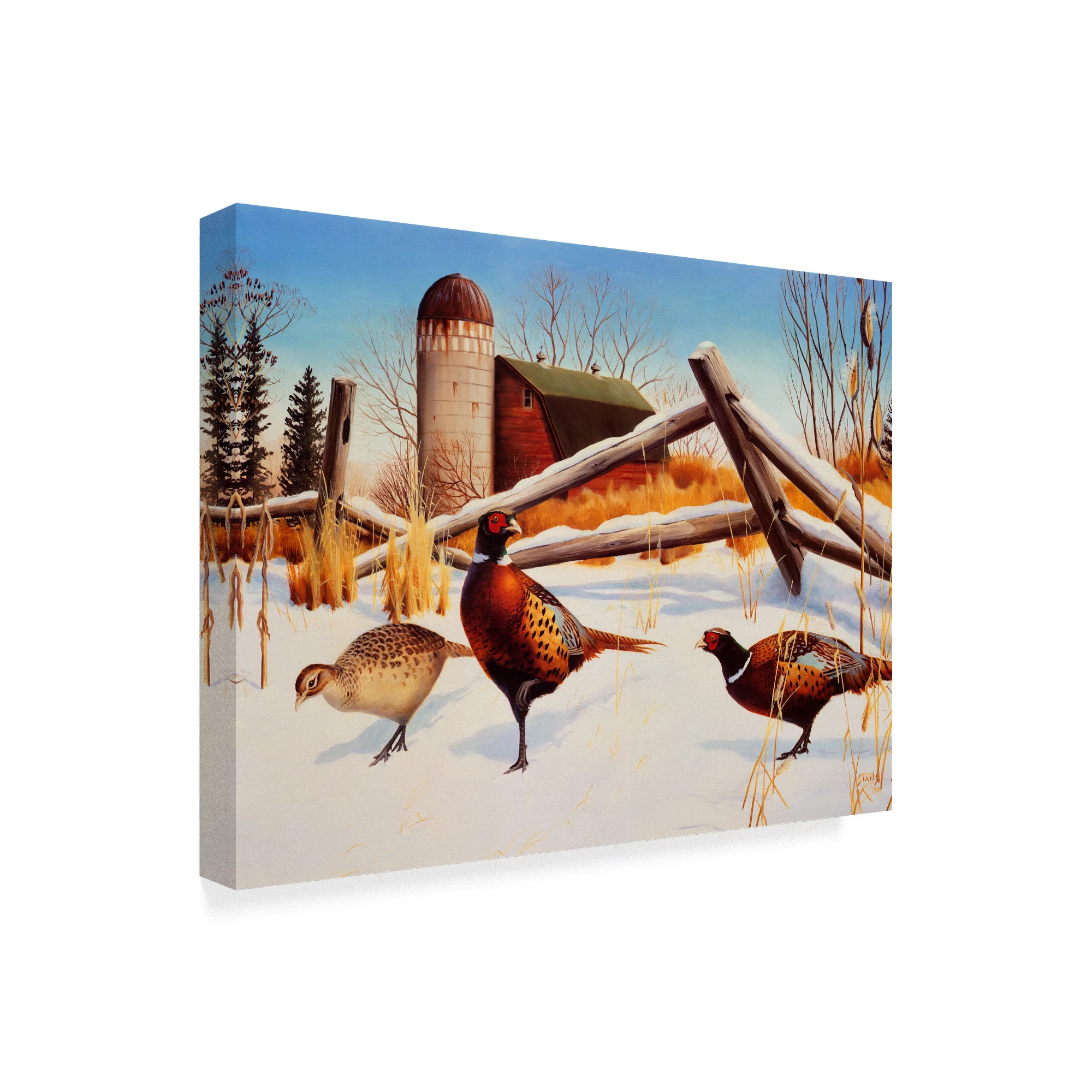 Trademark Fine Art 'Pheasants II' Canvas Art by Leo Stans