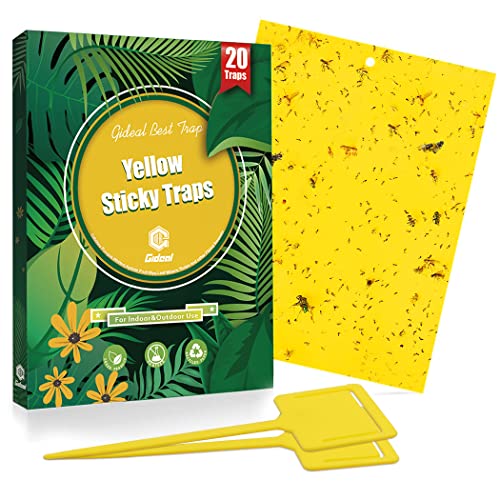 30-Pack Dual-Sided Yellow Sticky Traps for Flying Plant Insect Such as Fungus Gnats, Whiteflies, Aphids, Leafminers,Thrips - (6x8 Inches, Included 30pcs Twist Ties)
