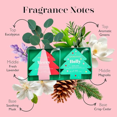 Spongellé Gingerbread Gift Set Body Wash Infused Buffers, Sugar & Spice