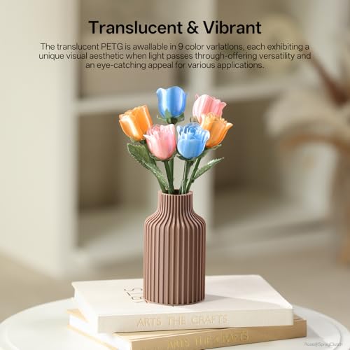 ANYCUBIC PETG Filament 1.75mm Bundle, 3D Printer Filament, Dimensional Accuracy +/- 0.02mm, 1KG Reusable Spool, 10KG Black + White + Grey + Pink + Red + Blue + Green + Orange + Yellow + Purple