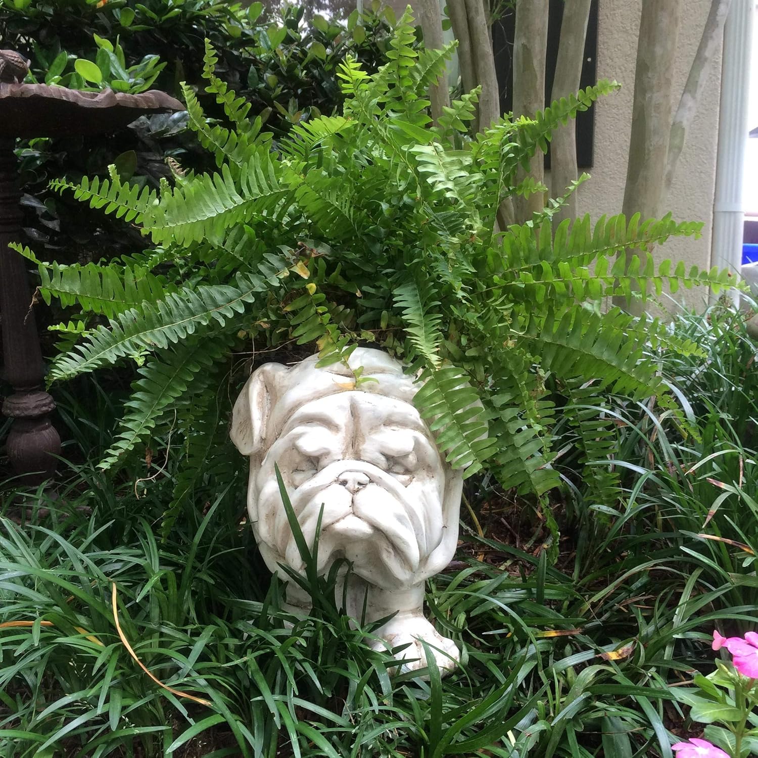 BOVTE FVLFIL Homestyles 12 in. Antique White Bulldog Muggly Mascot Dog Animal Statue Planter Holds 5 in. Pot