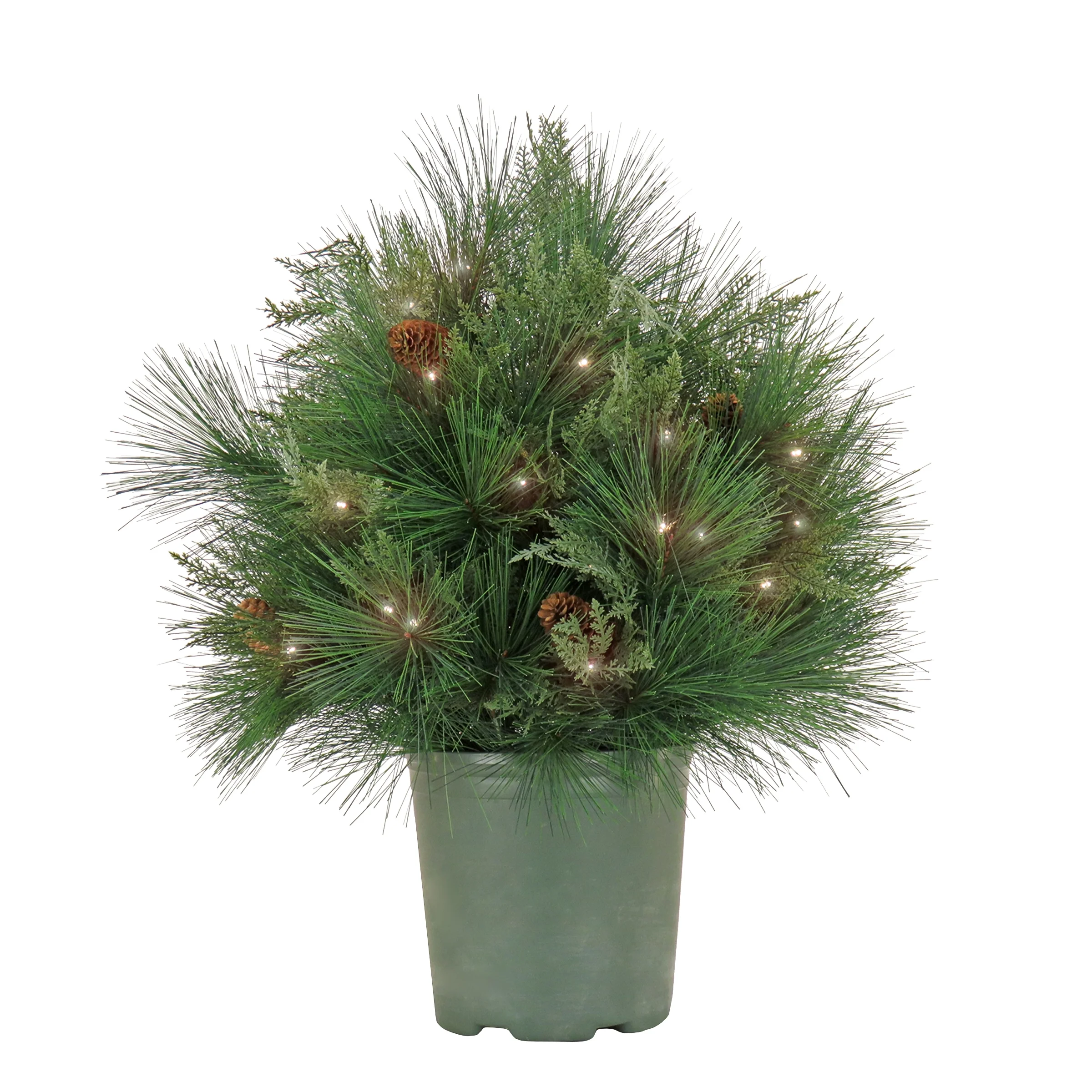 HGTV Home Collection Pre Lit Artificial Christmas Shrub Planter Filler, Mixed Branch Tips, Decorated with Pinecones, Battery Powered, 26 Inches