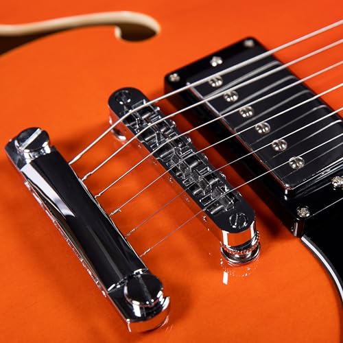 Redid Semi-Hollow Body Electric Guitar RD-100 Jazz Guitar with F-Hole,Maple neck,humbucker Pickups(Brown)