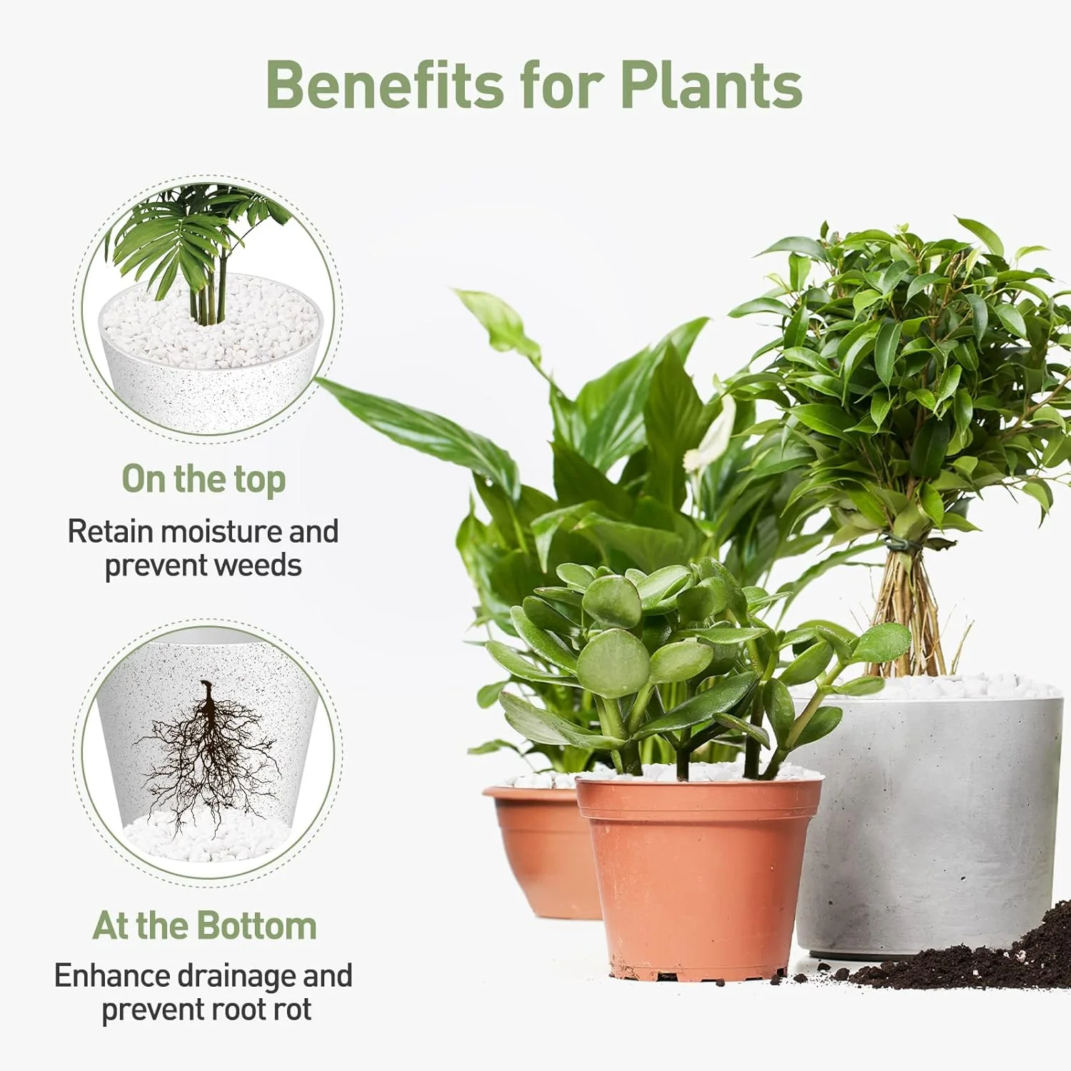 White Pebbles for Plants, 5LBs Gravel for Indoor Plants, Cactus, Vases, Matte Texture, Suitable for Terrarium, Gardening, and Home Décor, 1/5 Inch