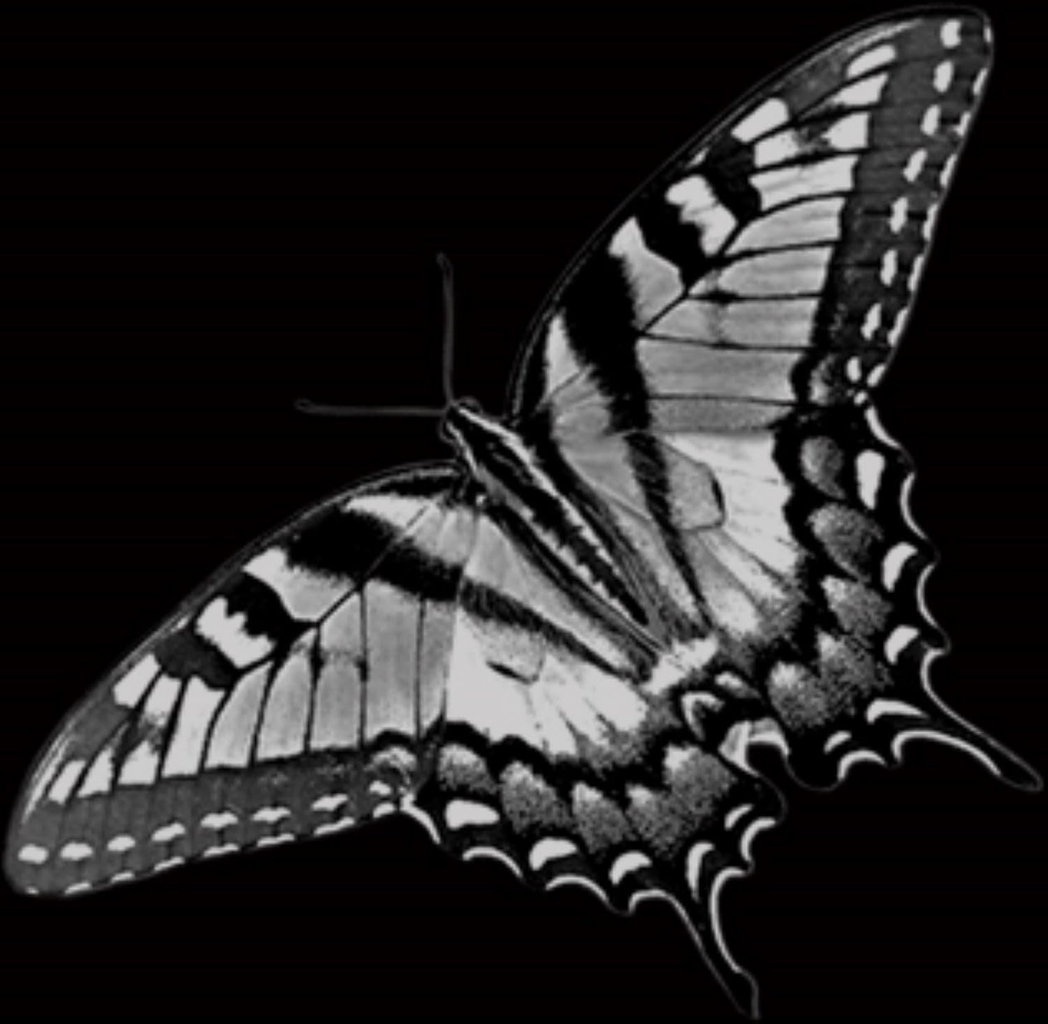 Personal Columbaria 2 niche - monument grade granite - custom engraving available.