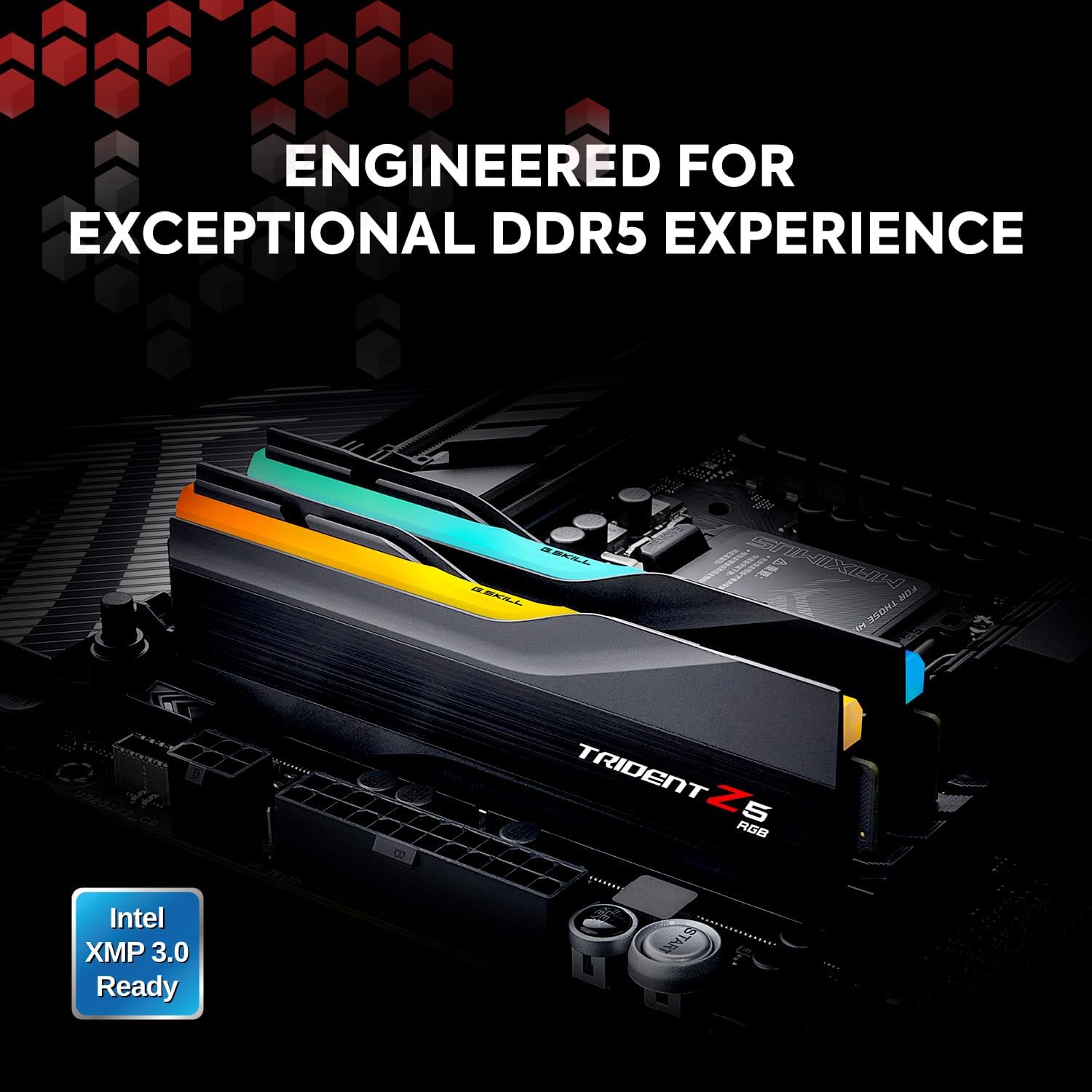 G.SKILL Trident Z5 RGB Series (Intel XMP 3.0) DDR5 RAM 64GB (2x32GB) 5600MT/s CL36-36-36-89 1.25V Desktop Computer Memory UDIMM - Matte Black (F5-5600J3636D32GA2-TZ5RK)