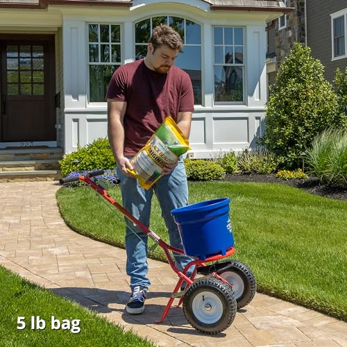 Jonathan Green 10315 Black Beauty Grass Seed Mix, 25-Pound