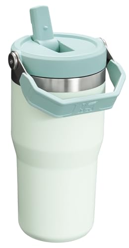 Stanley IceFlow Flip Straw Tumbler with Handle 30 oz | Twist On Lid and Flip Up Straw | Leak Resistant Water Bottle | Insulated Stainless Steel |BPA-Free | Lilac