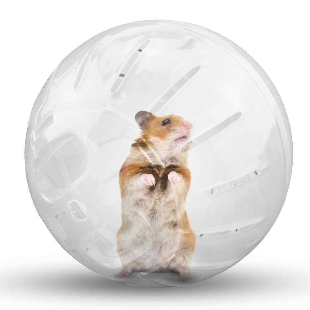 CHUQIANTONG Hamster Exercise Ball Silent Hamster Wheel Small Animals Transparent Ball For Dwar Rat Relieves Boredom And Increases Activity - Pet Supplies online store