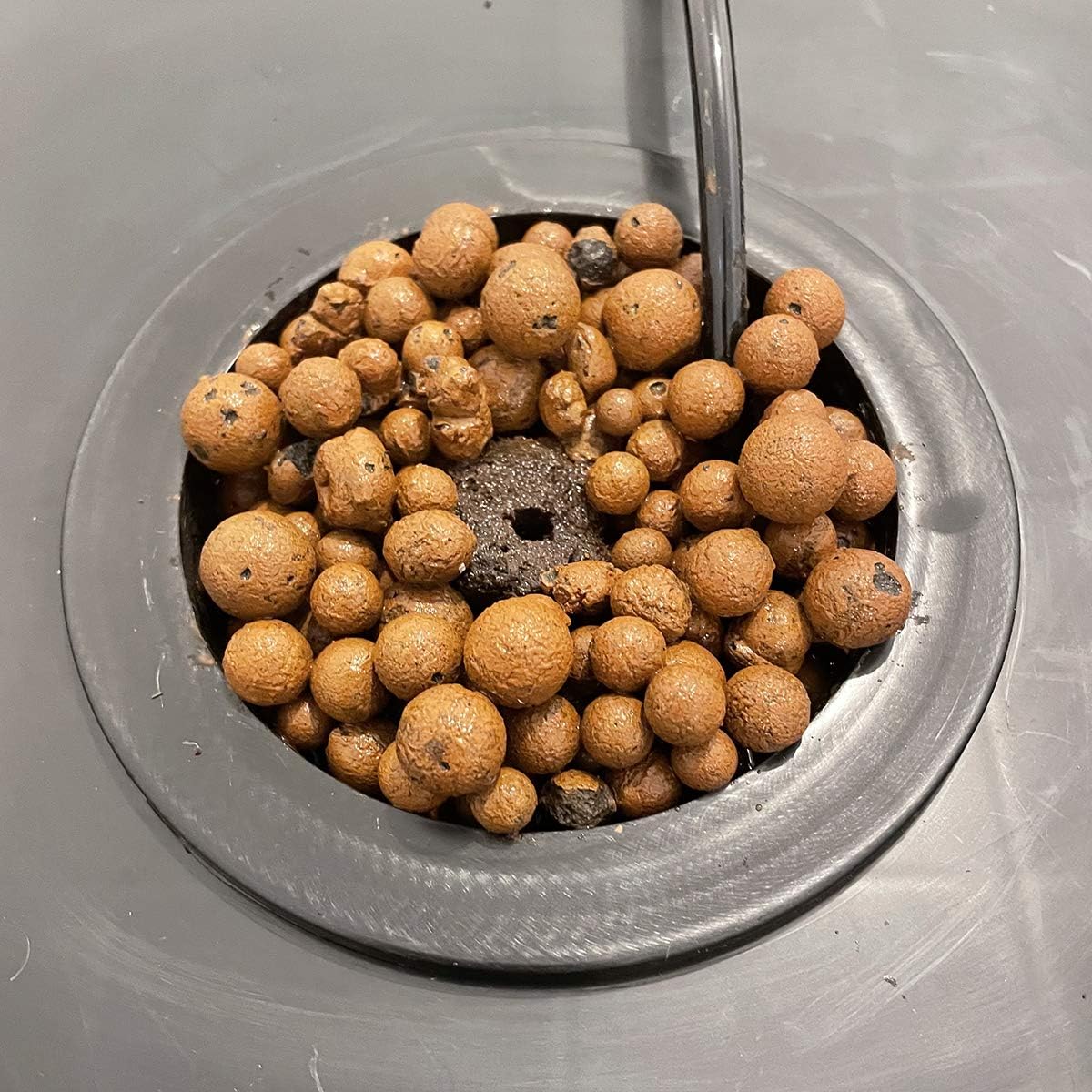 Recirculating Deep Water Culture RDWC Hydroponic Grow Kit System, 5 gallon, 4 Site with Connected Reservoir