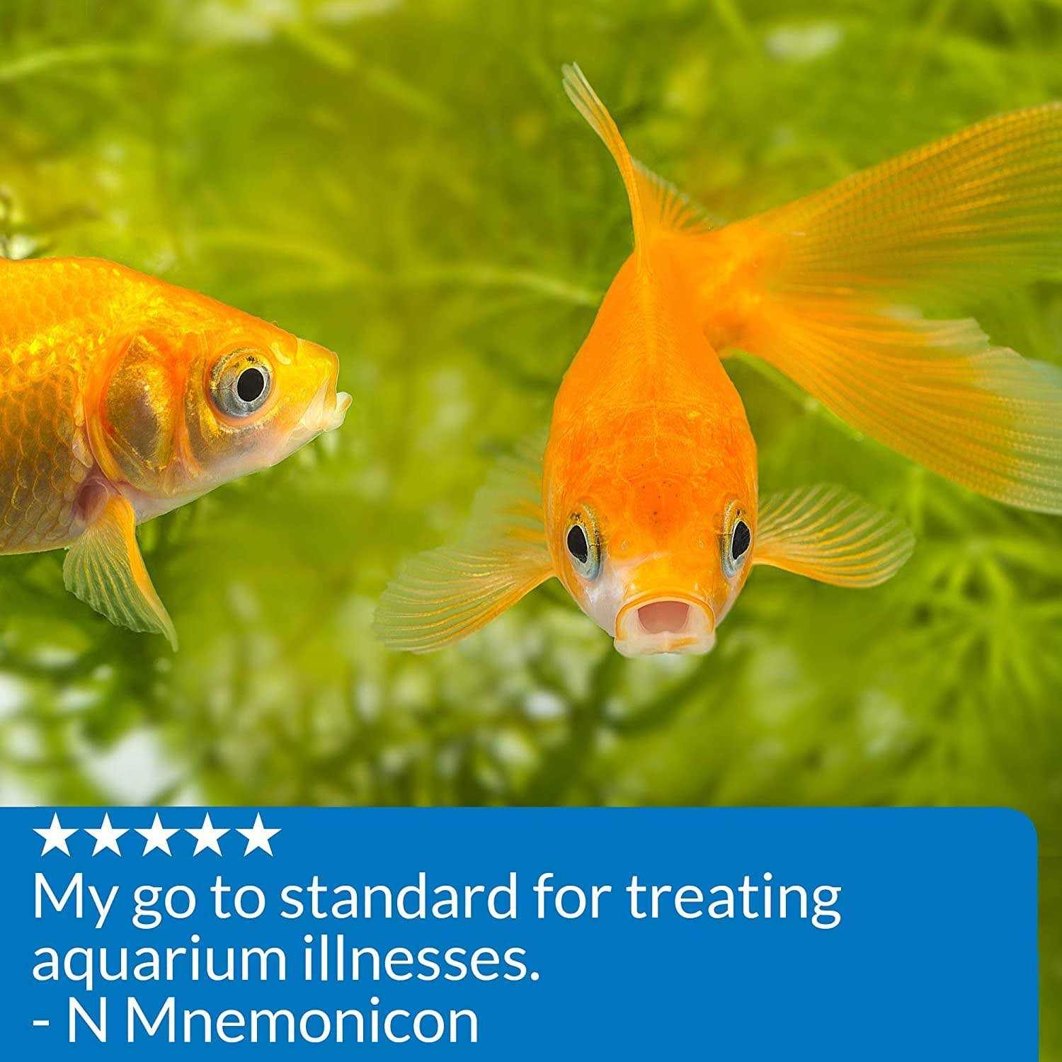 API Pimafix Antifungal Fish Remedy - Pet Supplies online store