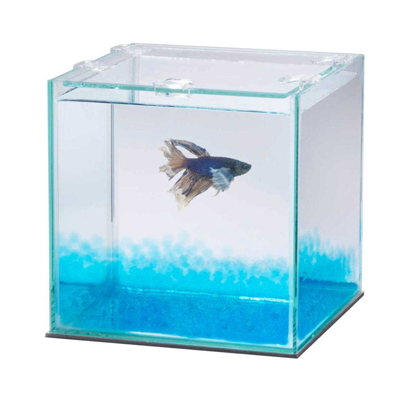 Aqueon Pure Betta Beads - Pet Supplies online store