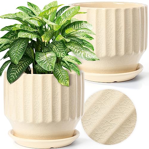 AISBUGUR Plant Pots 6 inch Set of 2 Ceramic Pots for Indoor Plants with Drainage Hole and Saucer Unique Crackle Glaze Design Garden Flower Pots Come with Drainage Nets, Creamy White