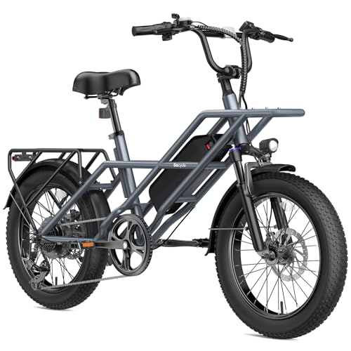 Fat Tire Electric Bike for Adults 20