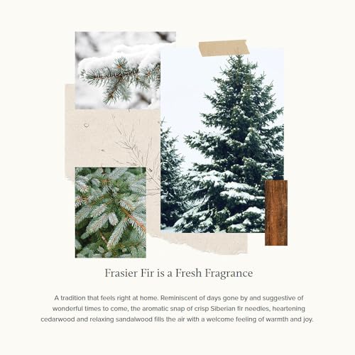 Thymes Frasier Fir Candle – Frosted Plaid Jar Candles – Green & White Candle Jar Design – Scented Candles with Notes of Siberian Fir, Cedarwood & Sandalwood – Holiday Candles (6.5 oz)