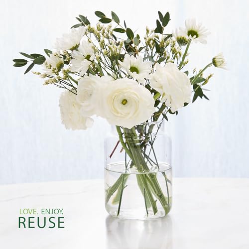 Yankee Candle Sugared Cinnamon Apple, Scented Candle, 22oz Large Jar with up to 150 Hour Burn Time, Giftable