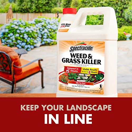 Spectracide Weed & Grass Killer Concentrate, Use On Driveways, Walkways and Around Trees & Flower Beds, 64 fl Ounce