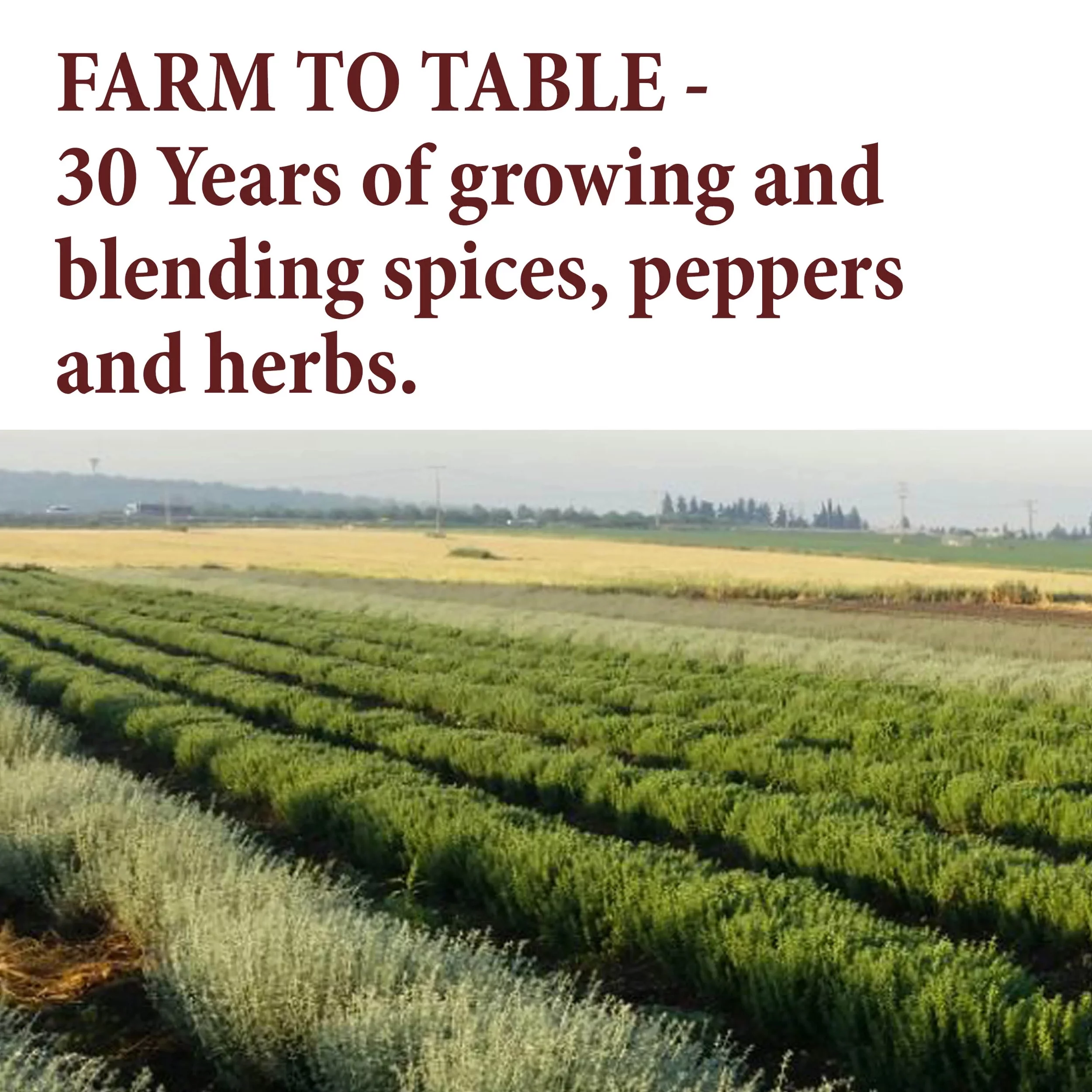 The Spice Way Chimichurri Spice Blend – Argentinan cuisine – All Natural - Resealable Pouch - 32 Oz.