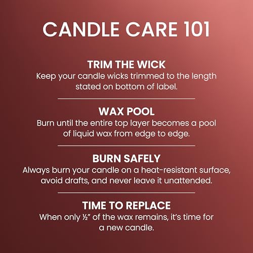 Yankee Candle Sugared Cinnamon Apple, Scented Candle, 22oz Large Jar with up to 150 Hour Burn Time, Giftable