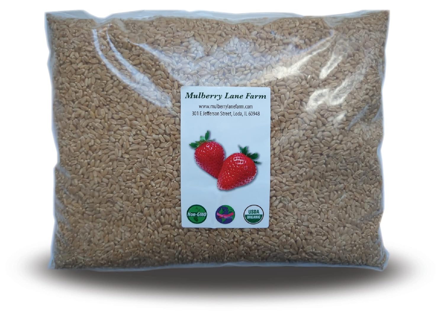 Hard White Wheat Berries 5 Pounds Kernels Montana Golden 86 USDA Certified Organic Non-GMO, Bulk, Product of USA
