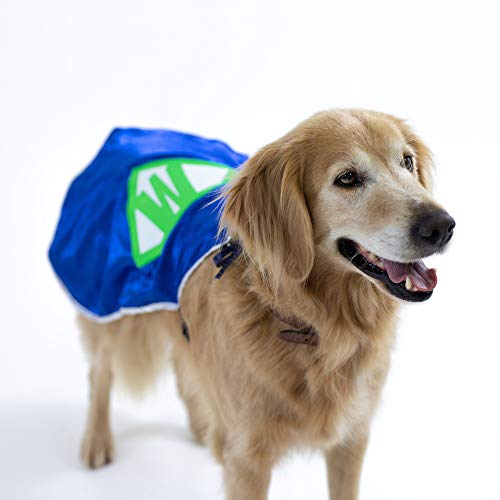 Everfan Personalized Dog Superhero Cape (Small 10