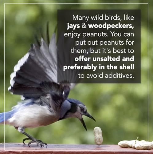 Wildlife Feed Raw Peanuts (10 LBS) - Our in-Shell Peanuts are The Ideal Critter Food to Attract Squirrels, Birds, Deer and Other Diverse Wildlife.