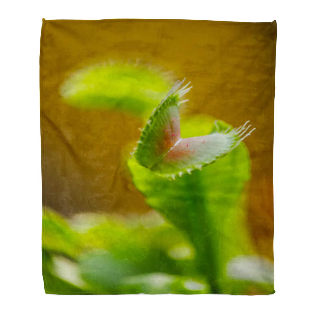 SIDONKU Flannel Throw Blanket Green Botanical Carnivorous Plant Dionaea Muscipula Blurred Shallow Depth Soft for Bed Sofa and Couch 58x80 Inches