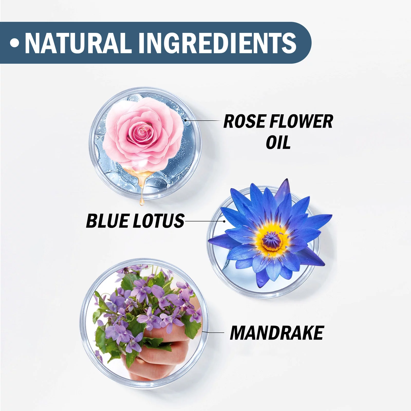 EELHOE Herbal Fragrance, Eau de Parfum - Unisex Cologne with Fresh Herbs Sensual Perfume - Unisex Natural Perfume (50ml)