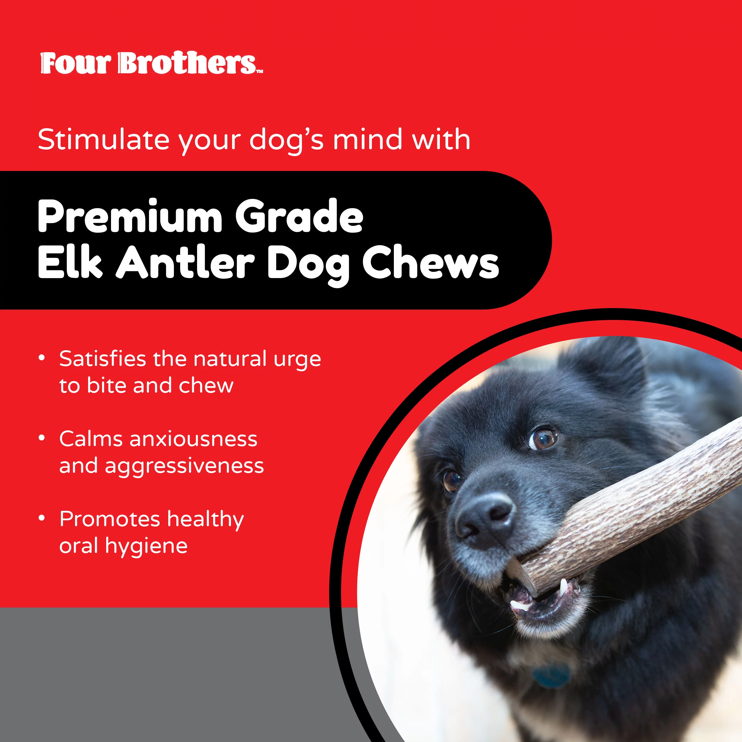 Four Brothers Elk Antlers for Dogs | Natural Dog Chew Bone | Premium Dog Chew Treat Toy | Ideal for Aggressive Chewers & All Dog Breeds | Long Lasting, Odor & Dirt Free