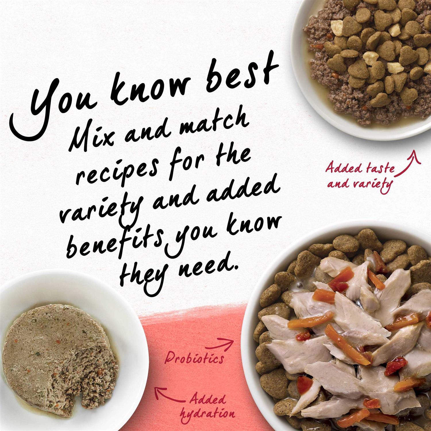 Purina Beyond Cat Dry Food - Pet Supplies online store