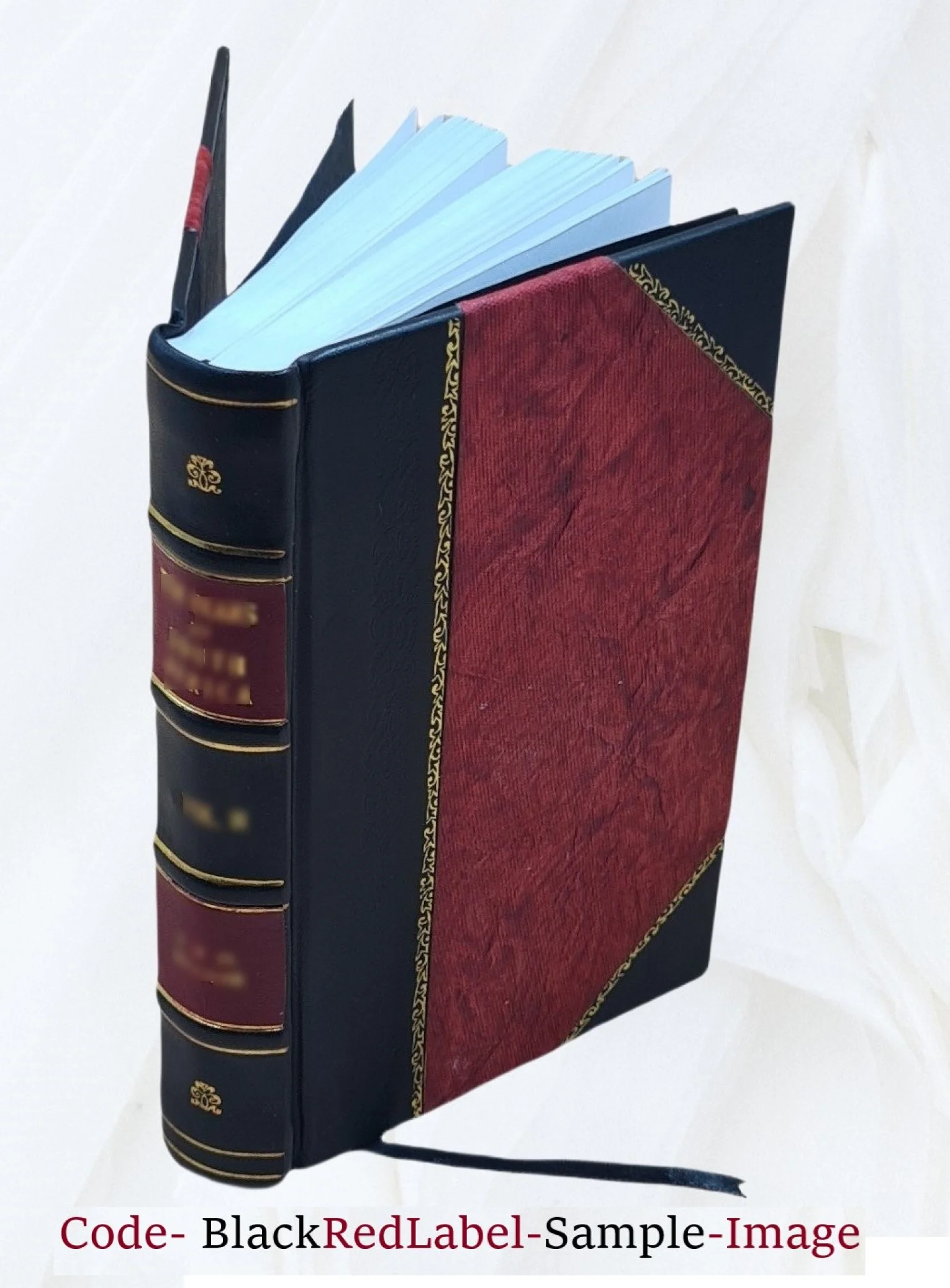 Russkai︠a︡ besi︠e︡da. Volume 1856:2 1856 [Leather Bound]