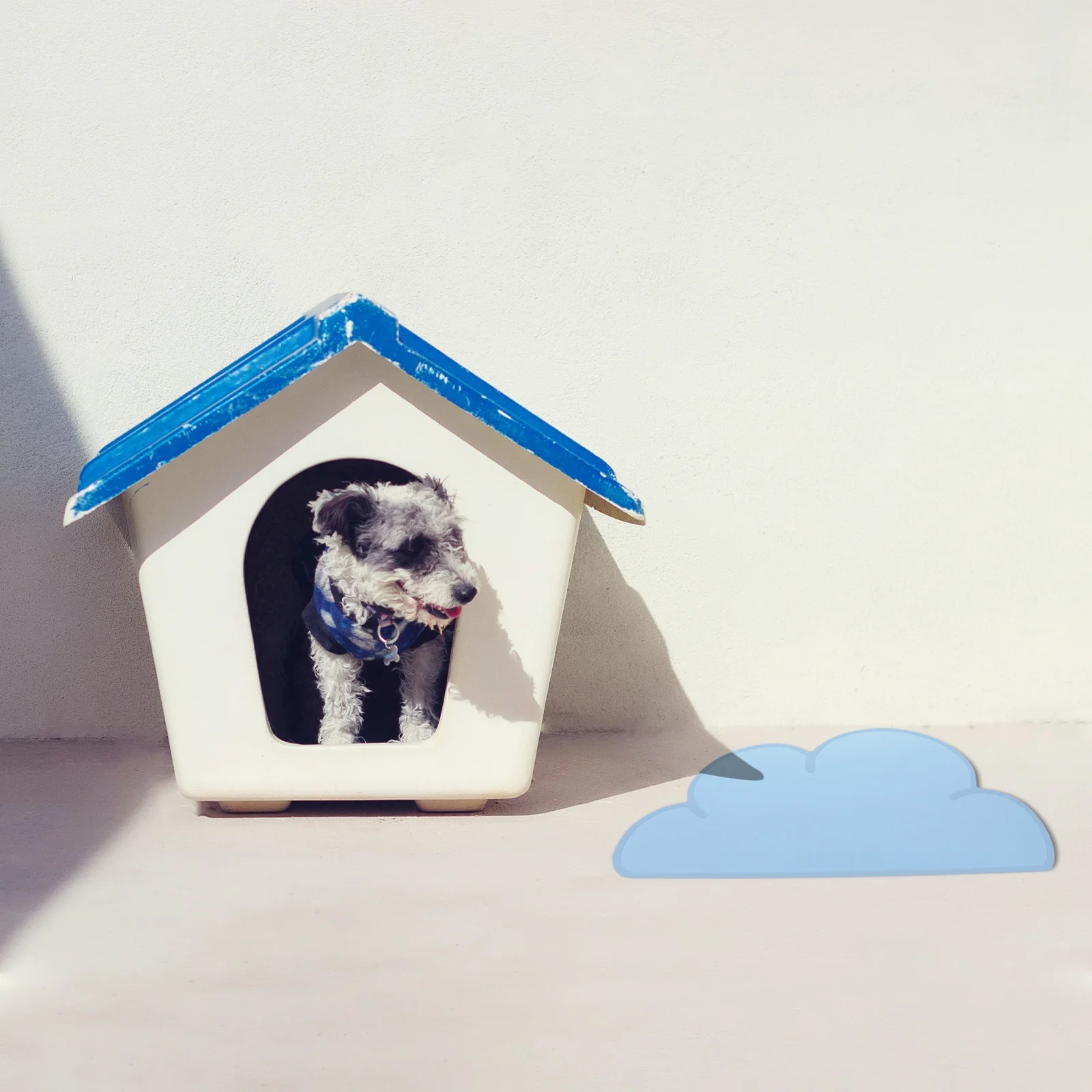 Cat Bowl Animal Food Mat Silicone Pet Placemat Feeding Child