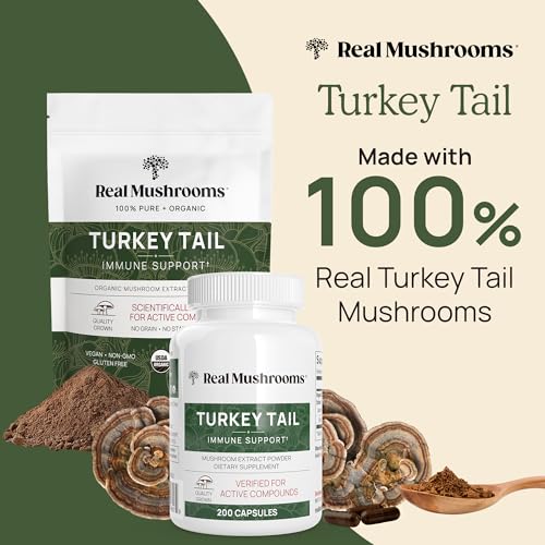 Real Mushrooms Turkey Tail Powder - Organic Mushroom Supplement with Potent Turkey Tail Mushroom Extract for Gut, Energy, Brain, & Immune Support - Vegan Mushroom Powder, Non-GMO, 100 Servings
