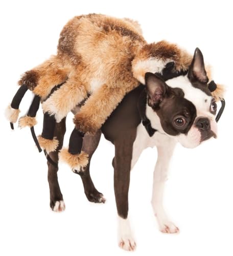 Rubie's Giant Spider Pet Costume, X-Large