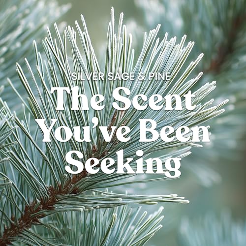 Yankee Candle Balsam & Cedar, Holiday Scented Candle, 22oz Large Jar with up to 150 Hour Burn Time, Giftable