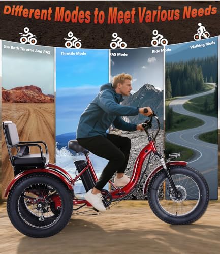 Adult Electric Tricycle Adult Tricycle 3 Wheel Bikes Adults Electric Three Wheel Bike